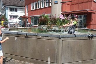 bd7af_29889_Piipsvgel_073bc.jpg
