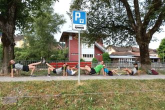 94bfe_29889_Piipsvgel_073a4.jpg