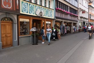 dd73f_29889_Piipsvgel_073aa.jpg